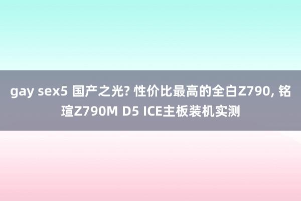 gay sex5 国产之光? 性价比最高的全白Z790， 铭瑄Z790M D5 ICE主板装机实测