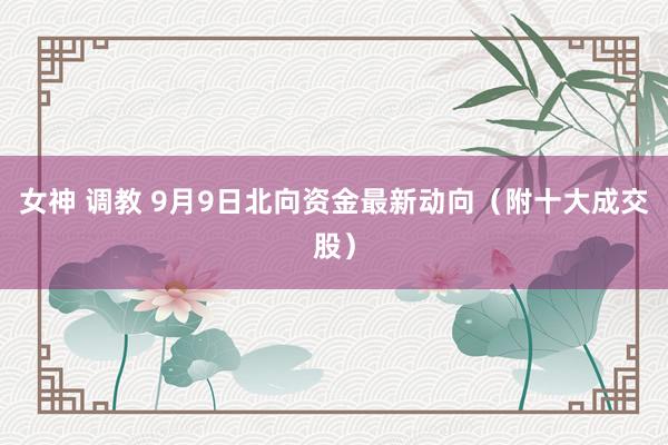 女神 调教 9月9日北向资金最新动向（附十大成交股）