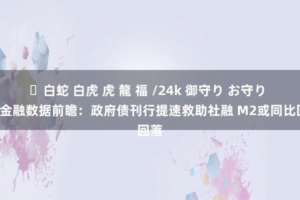 ✨白蛇 白虎 虎 龍 福 /24k 御守り お守り 8月金融数据前瞻：政府债刊行提速救助社融 M2或同比回落