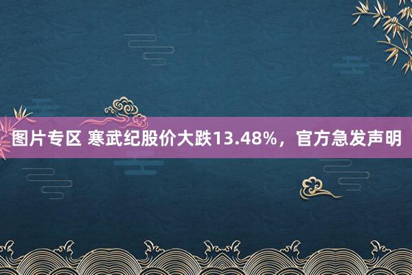 图片专区 寒武纪股价大跌13.48%，官方急发声明