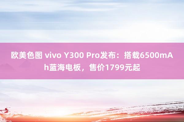 欧美色图 vivo Y300 Pro发布：搭载6500mAh蓝海电板，售价1799元起