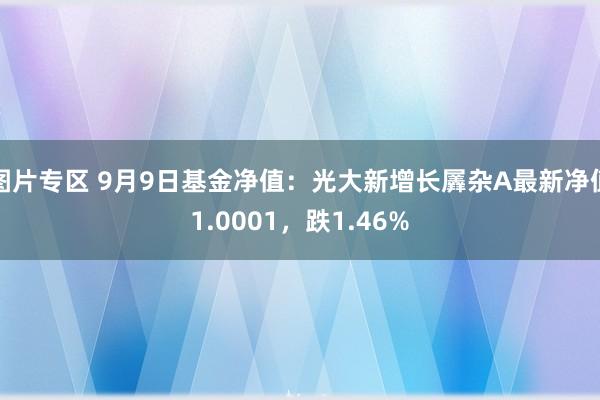 图片专区 9月9日基金净值：光大新增长羼杂A最新净值1.0001，跌1.46%