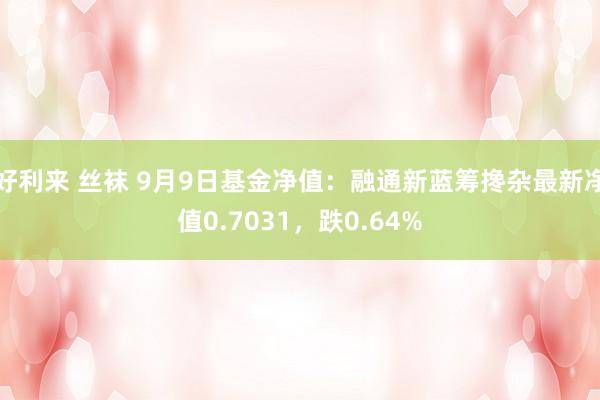 好利来 丝袜 9月9日基金净值：融通新蓝筹搀杂最新净值0.7031，跌0.64%