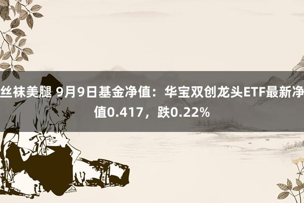 丝袜美腿 9月9日基金净值：华宝双创龙头ETF最新净值0.417，跌0.22%