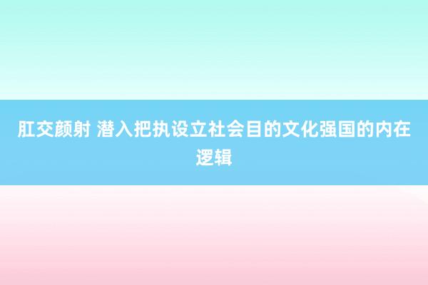 肛交颜射 潜入把执设立社会目的文化强国的内在逻辑