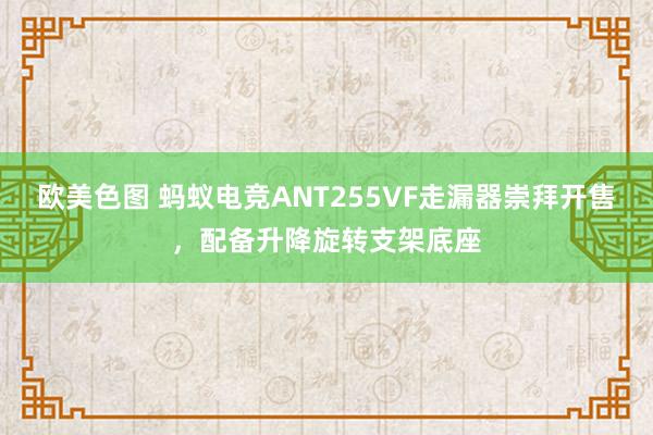 欧美色图 蚂蚁电竞ANT255VF走漏器崇拜开售，配备升降旋转支架底座