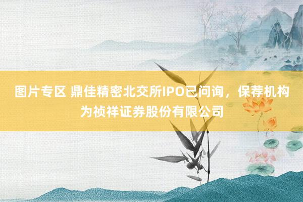 图片专区 鼎佳精密北交所IPO已问询，保荐机构为祯祥证券股份有限公司