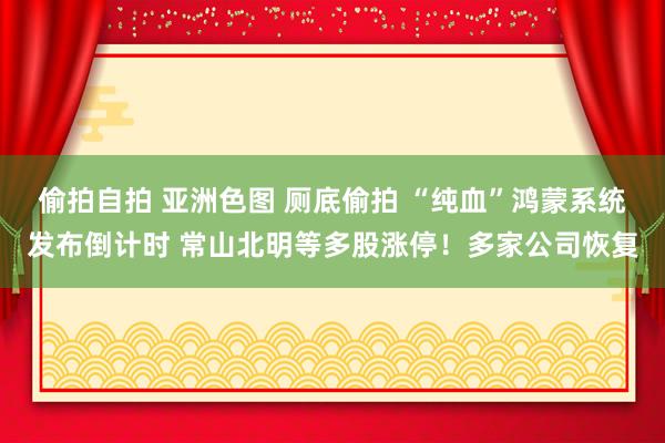 偷拍自拍 亚洲色图 厕底偷拍 “纯血”鸿蒙系统发布倒计时 常山北明等多股涨停！多家公司恢复