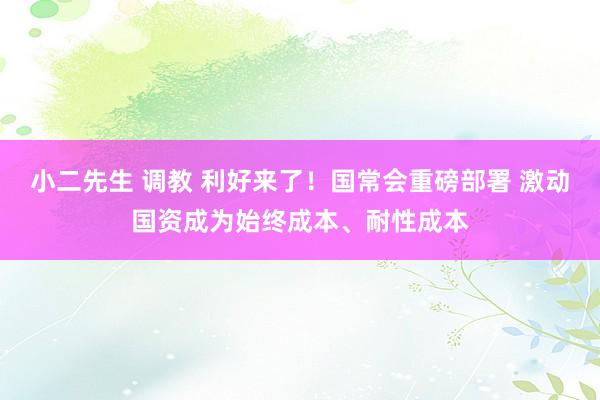 小二先生 调教 利好来了！国常会重磅部署 激动国资成为始终成本、耐性成本