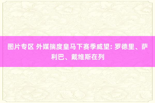 图片专区 外媒揣度皇马下赛季威望: 罗德里、萨利巴、戴维斯在列