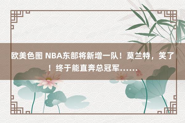 欧美色图 NBA东部将新增一队！莫兰特，笑了！终于能直奔总冠军……