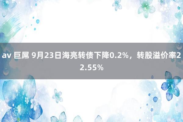 av 巨屌 9月23日海亮转债下降0.2%，转股溢价率22.55%