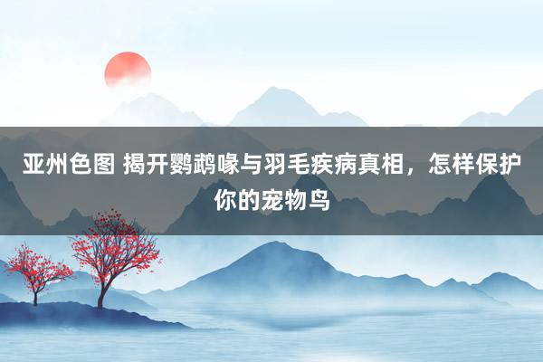 亚州色图 揭开鹦鹉喙与羽毛疾病真相，怎样保护你的宠物鸟