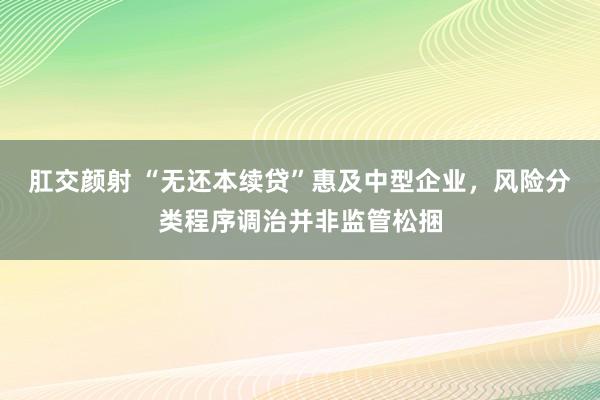 肛交颜射 “无还本续贷”惠及中型企业，风险分类程序调治并非监管松捆