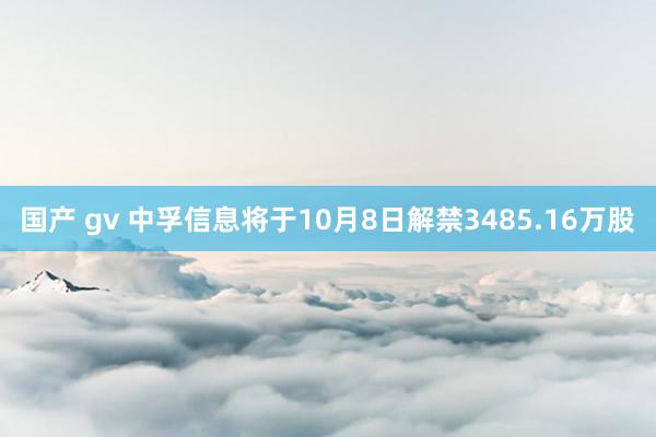 国产 gv 中孚信息将于10月8日解禁3485.16万股