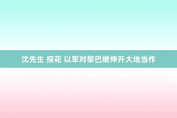 沈先生 探花 以军对黎巴嫩伸开大地当作