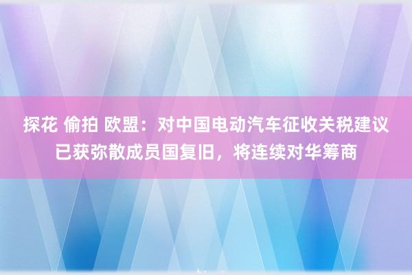 探花 偷拍 欧盟：对中国电动汽车征收关税建议已获弥散成员国复旧，将连续对华筹商