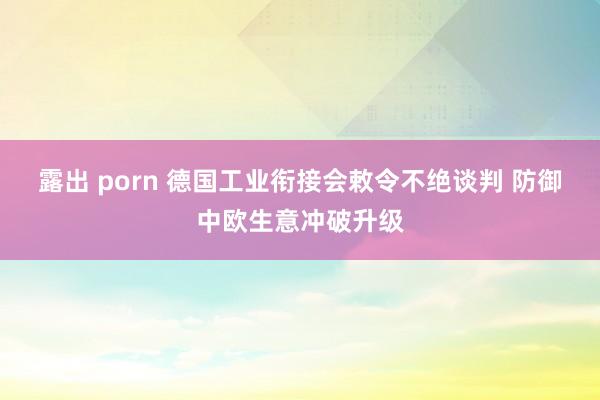 露出 porn 德国工业衔接会敕令不绝谈判 防御中欧生意冲破升级