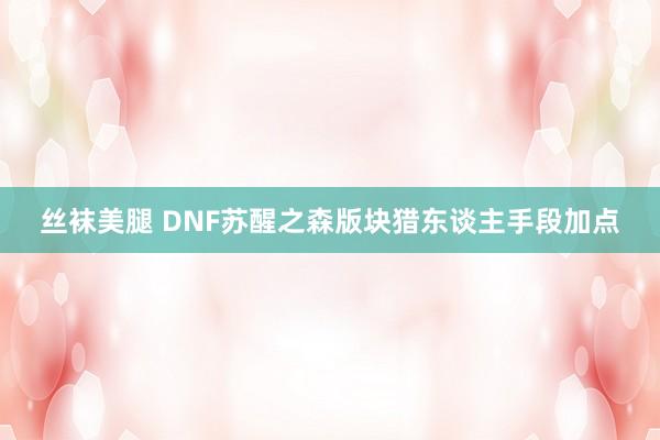 丝袜美腿 DNF苏醒之森版块猎东谈主手段加点