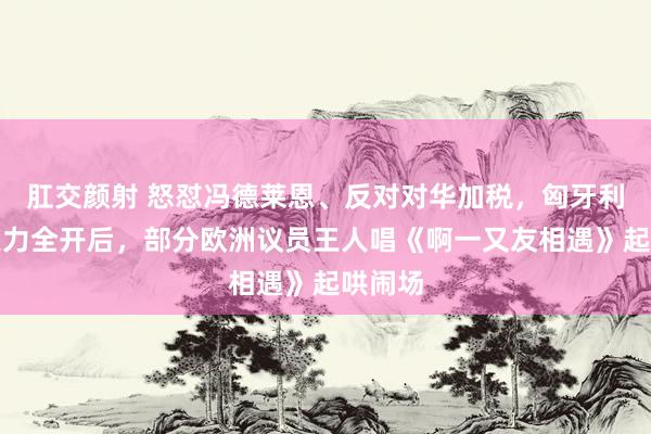 肛交颜射 怒怼冯德莱恩、反对对华加税，匈牙利总理火力全开后，部分欧洲议员王人唱《啊一又友相遇》起哄闹场