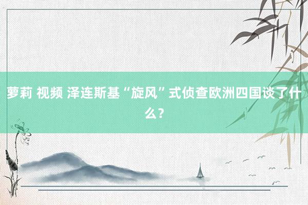 萝莉 视频 泽连斯基“旋风”式侦查欧洲四国谈了什么？