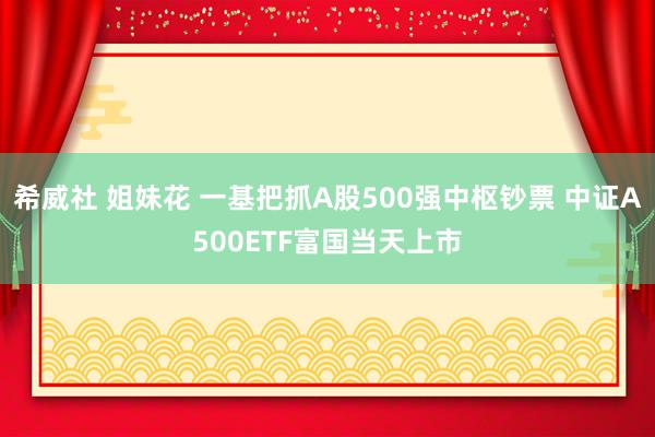 希威社 姐妹花 一基把抓A股500强中枢钞票 中证A500ETF富国当天上市