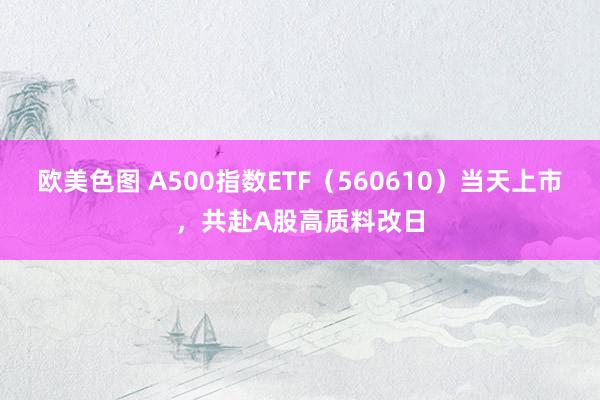 欧美色图 A500指数ETF（560610）当天上市，共赴A股高质料改日