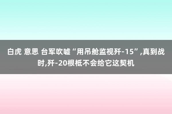 白虎 意思 台军吹嘘“用吊舱监视歼-15”，真到战时，歼-20根柢不会给它这契机