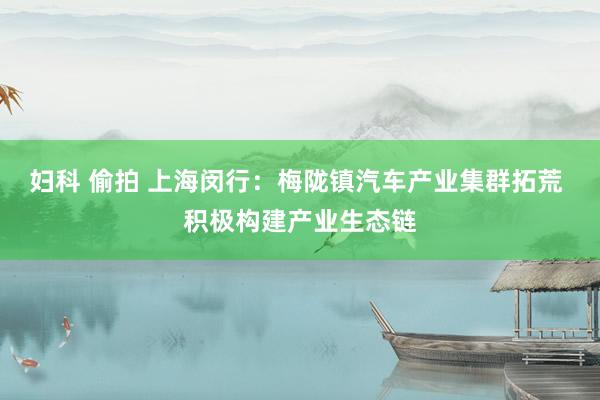 妇科 偷拍 上海闵行：梅陇镇汽车产业集群拓荒 积极构建产业生态链