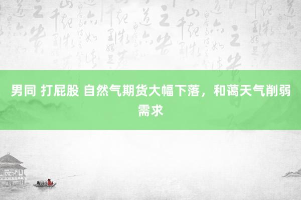 男同 打屁股 自然气期货大幅下落，和蔼天气削弱需求