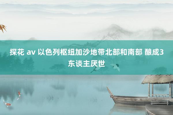 探花 av 以色列枢纽加沙地带北部和南部 酿成3东谈主厌世