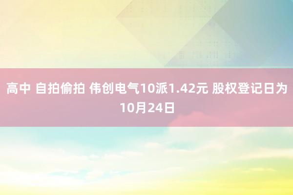 高中 自拍偷拍 伟创电气10派1.42元 股权登记日为10月24日