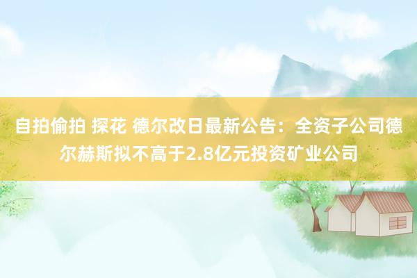 自拍偷拍 探花 德尔改日最新公告：全资子公司德尔赫斯拟不高于2.8亿元投资矿业公司