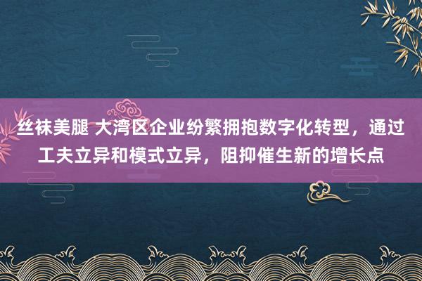 丝袜美腿 大湾区企业纷繁拥抱数字化转型，通过工夫立异和模式立异，阻抑催生新的增长点