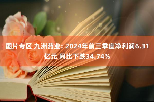 图片专区 九洲药业: 2024年前三季度净利润6.31亿元 同比下跌34.74%