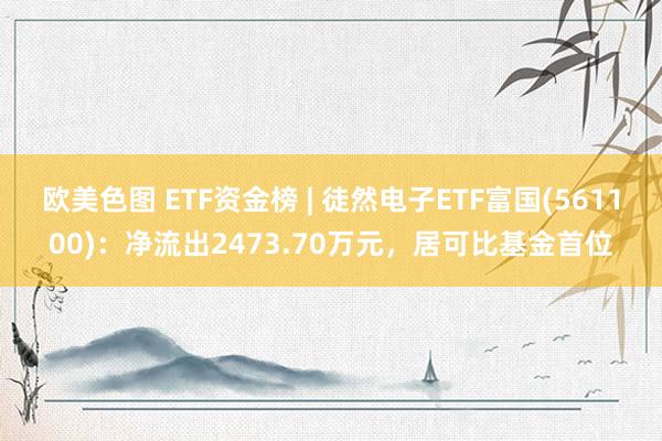 欧美色图 ETF资金榜 | 徒然电子ETF富国(561100)：净流出2473.70万元，居可比基金首位