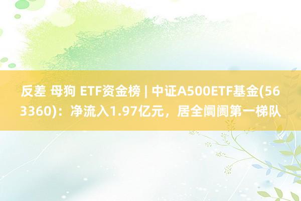 反差 母狗 ETF资金榜 | 中证A500ETF基金(563360)：净流入1.97亿元，居全阛阓第一梯队