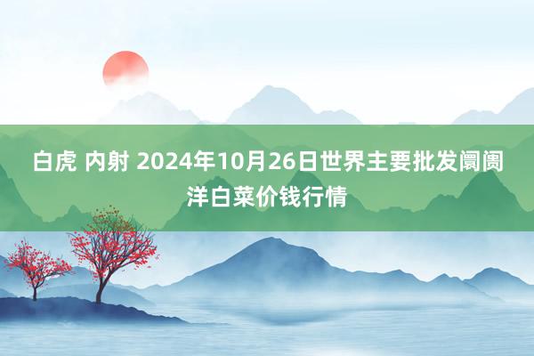 白虎 内射 2024年10月26日世界主要批发阛阓洋白菜价钱行情