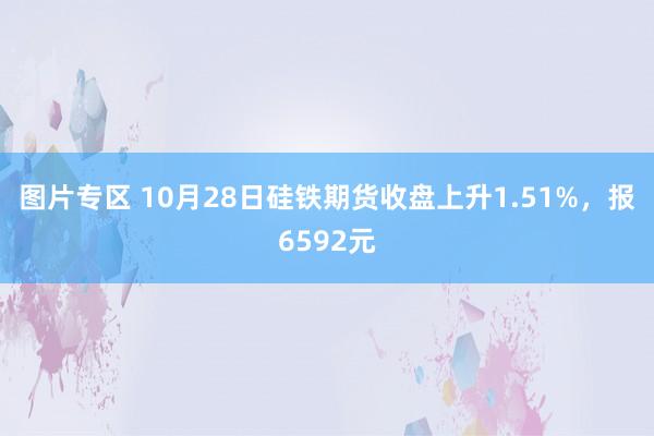 图片专区 10月28日硅铁期货收盘上升1.51%，报6592元