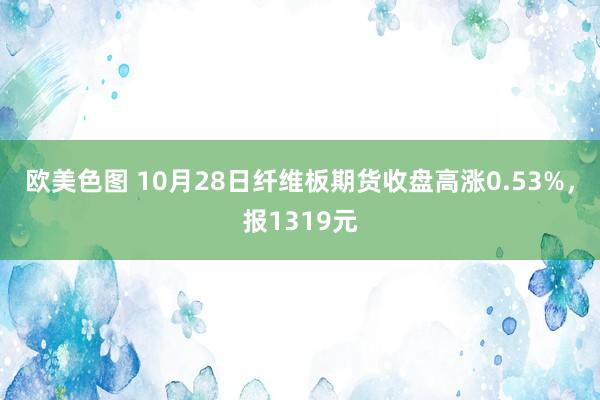 欧美色图 10月28日纤维板期货收盘高涨0.53%，报1319元