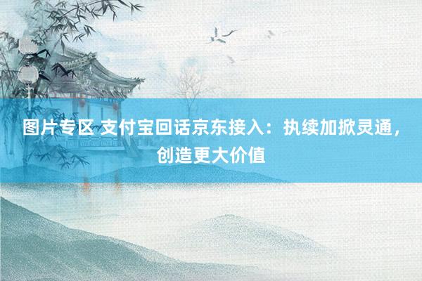 图片专区 支付宝回话京东接入：执续加掀灵通，创造更大价值