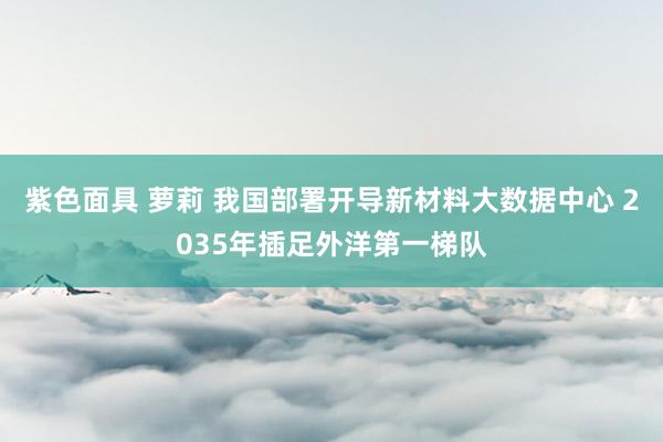 紫色面具 萝莉 我国部署开导新材料大数据中心 2035年插足外洋第一梯队