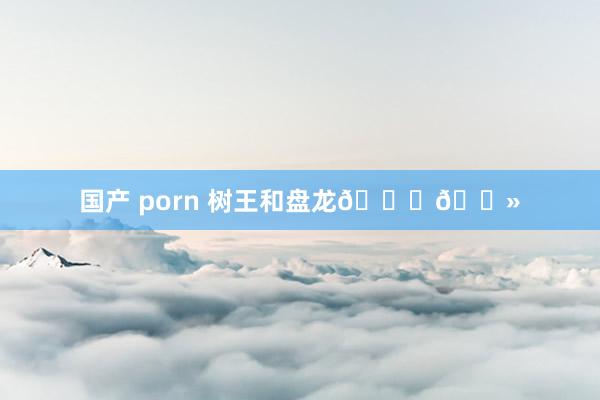 国产 porn 树王和盘龙🖖🏻