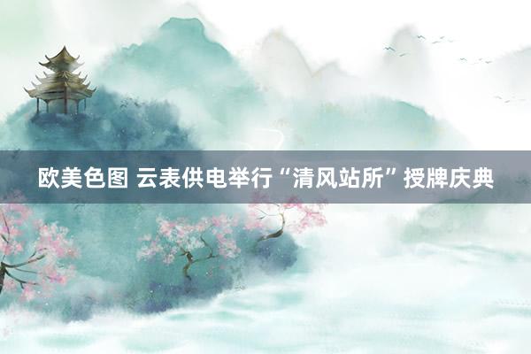 欧美色图 云表供电举行“清风站所”授牌庆典