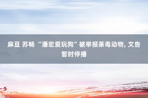 麻豆 苏畅 “潘宏爱玩狗”被举报荼毒动物， 文告暂时停播