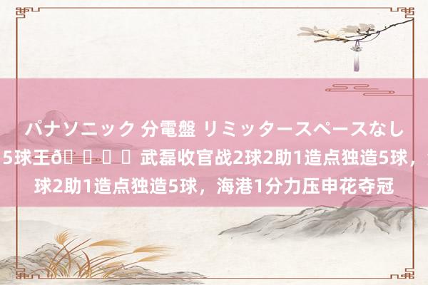 パナソニック 分電盤 リミッタースペースなし 露出・半埋込両用形 5球王🖐️武磊收官战2球2助1造点独造5球，海港1分力压申花夺冠