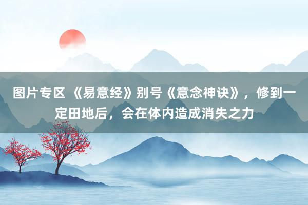 图片专区 《易意经》别号《意念神诀》，修到一定田地后，会在体内造成消失之力