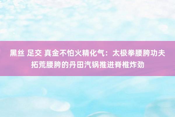 黑丝 足交 真金不怕火精化气：太极拳腰胯功夫拓荒腰胯的丹田汽锅推进脊椎炸劲