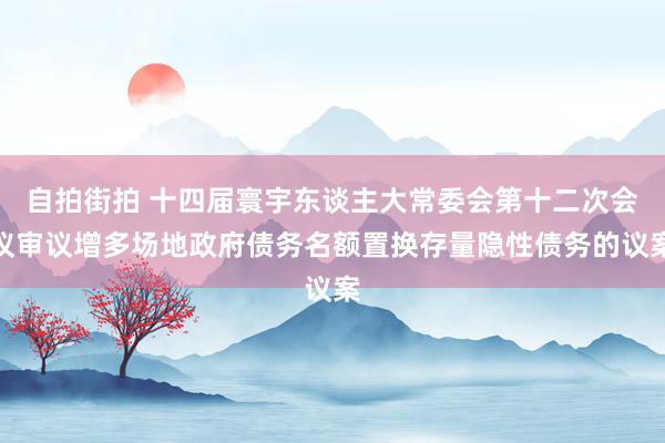 自拍街拍 十四届寰宇东谈主大常委会第十二次会议审议增多场地政府债务名额置换存量隐性债务的议案