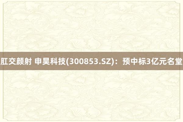 肛交颜射 申昊科技(300853.SZ)：预中标3亿元名堂